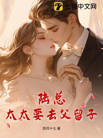 陆总,太太要去父留子 陆总,太太要去父留子