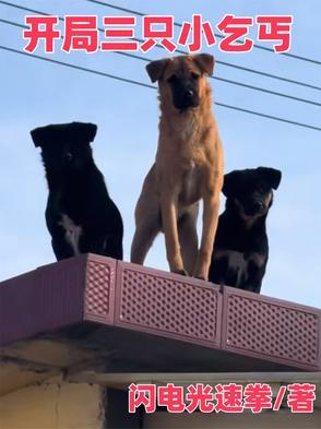 开局三只小乞丐 开局三只小乞丐